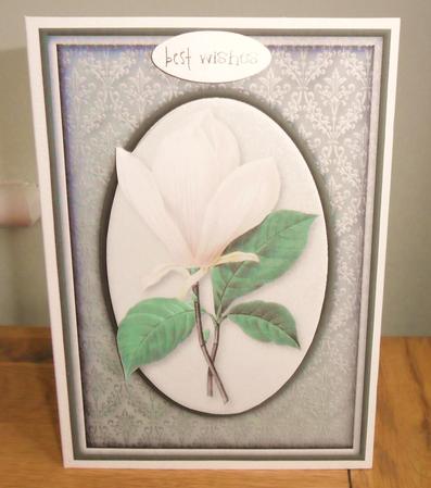 Cream Flower on Damask Quick Card by Johanna Lambert