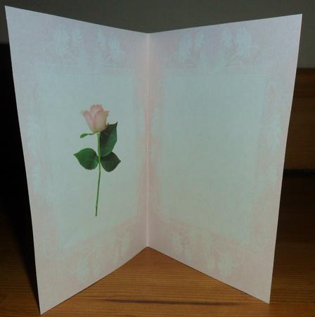 Pink Rose Insert by Johanna Lambert