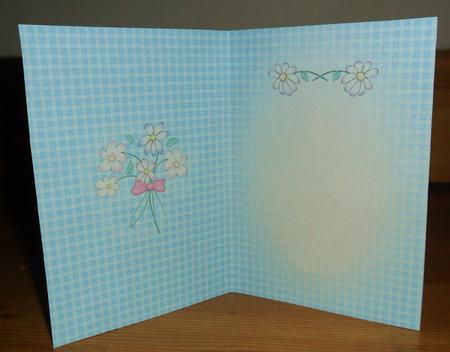 Pretty Gingham A5 Portrait Insert by Johanna Lambert