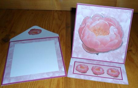 Peony Easel by Johanna Lambert