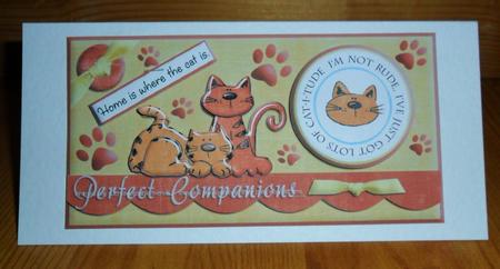 Perfect Companions Dl Card Front with Decoupage by Johanna Lambert