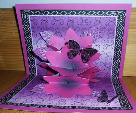 Dark Pink Pop-up Bouquet by Johanna Lambert