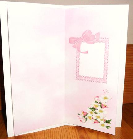 Apple Blossom for You - Large Dl Insert by Johanna Lambert
