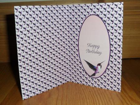 Humming Bird Insert by Johanna Lambert