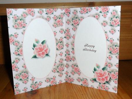 Wild Pink Roses Insert by Johanna Lambert