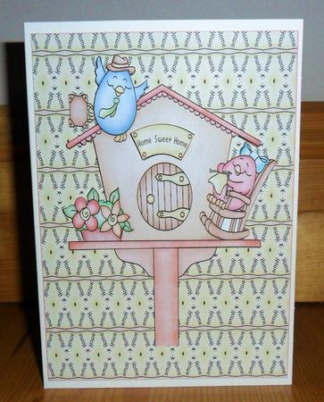 The Bird House New Home by Johanna Lambert
