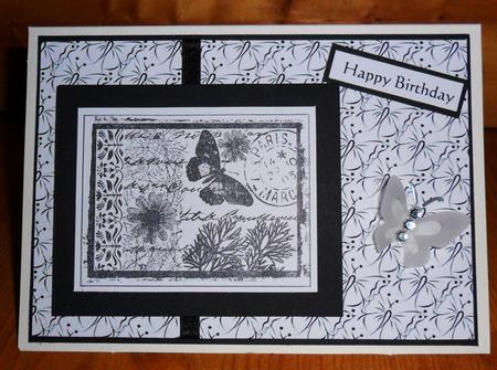 Black and White Butterflies by Johanna Lambert