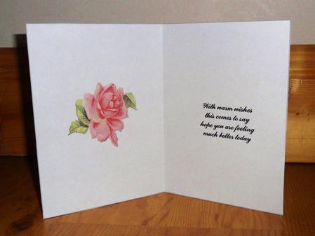 Rose Get Well Insert by Johanna Lambert