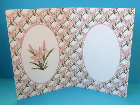 Pink Lily Insert by Johanna Lambert