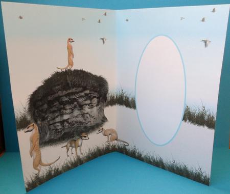 Meercats Insert by Johanna Lambert