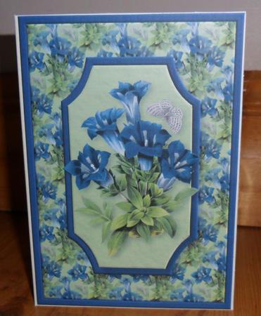 Blue Flowers Quick Card by Johanna Lambert