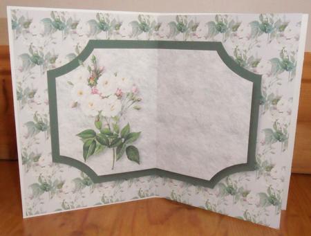 White Roses Insert by Johanna Lambert