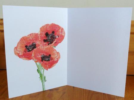 Poppy Trio & Words Insert Plain by Johanna Lambert