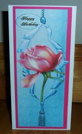 Dl Rose on Blue by Johanna Lambert