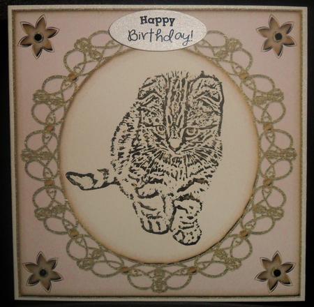 Little Fluffy Kitten in Round Swirly Frame by Johanna Lambert