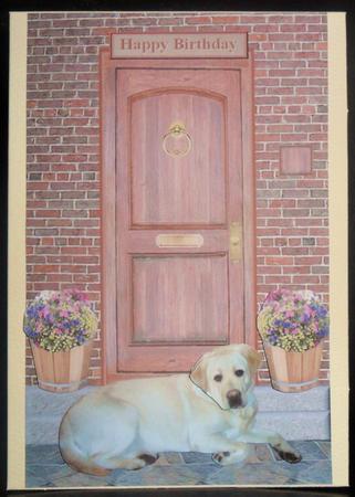 Golden Labrador on a Door Step by Johanna Lambert