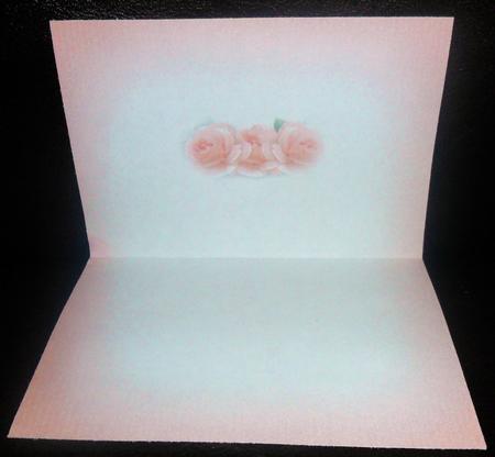 Peach Roses Insert for Cup177425_56 by Johanna Lambert
