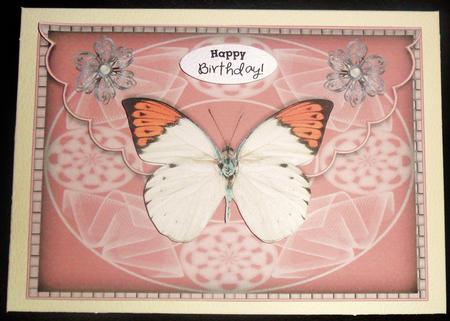 Beautiful Butterfly Scalloped Edge Envelope Card by Johanna Lambert