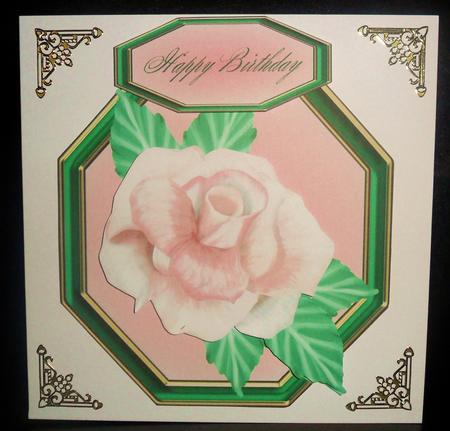 Palest Salmon Pink Rose by Johanna Lambert