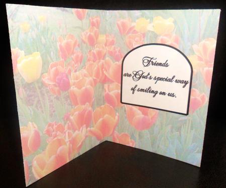 God's Special Way Insert by Johanna Lambert