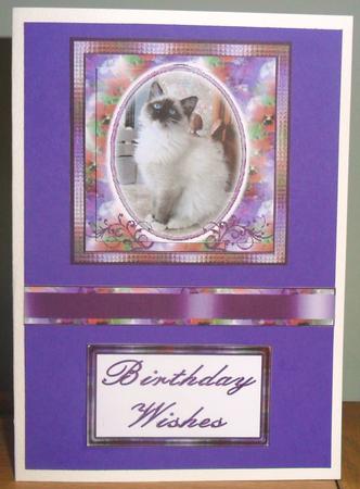 Cat in Flowery Oval Frame by Johanna Lambert