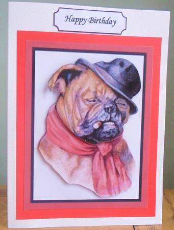 What a Guy Quick Card by Johanna Lambert