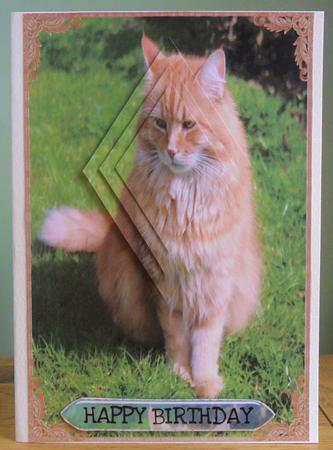 Long Haired Ginger Cat Diamond Stacker Card Sheet by Johanna Lambert