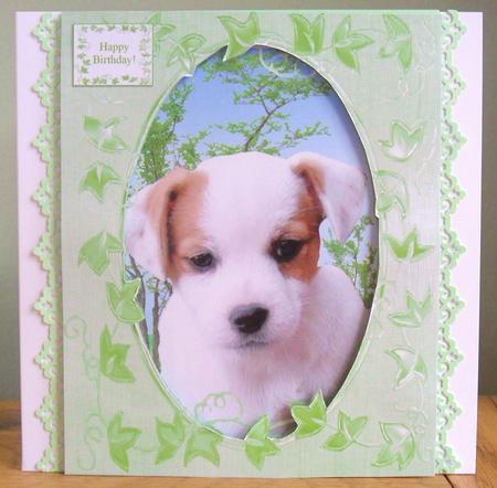 Tinker the Jack Russell Puppy Dog Frame Card & Sentiments by Johanna Lambert