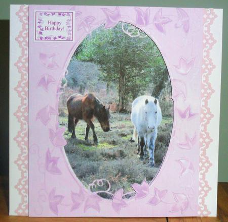 New Forest Ponies Frame Card & 5 x Sentiments & Gift Tag by Johanna Lambert