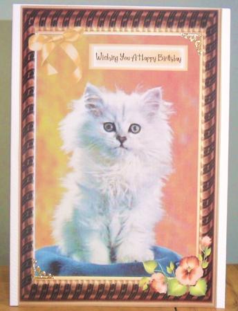 Cute Kitten with Peach Bow in Frame by Johanna Lambert