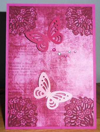 Ornate Floral Corner Cerise A4 Backing Paper by Johanna Lambert