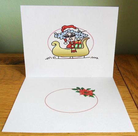 Stella Says Save Santa the Trip Insert by Johanna Lambert