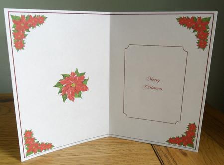 Poinsettia Insert 1 by Johanna Lambert