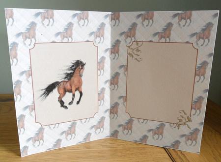 Chestnut Horse Insert by Johanna Lambert