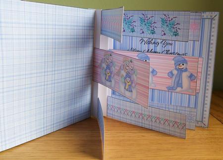 Snow Family Flag Book by Johanna Lambert