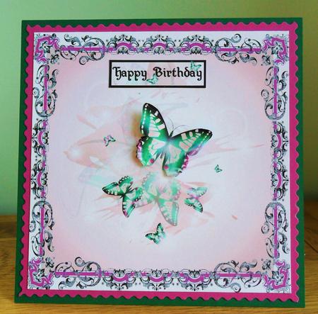 Beautiful Butterflies by Johanna Lambert