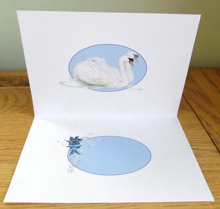 The Elegant Swan Couple Insert by Johanna Lambert