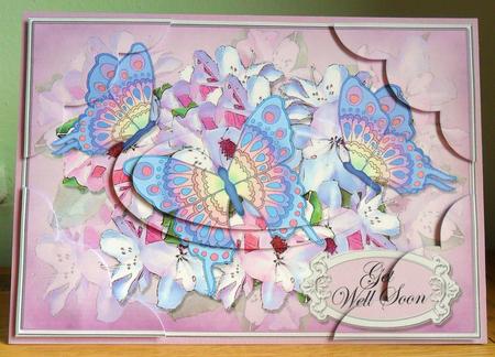 A5 Get Well Flowers N Butterfly Scallop Corners and Pyramage by Johanna Lambert