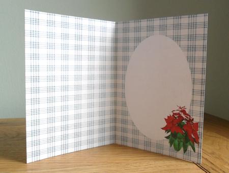 Christmas Red Poinsettia Insert by Johanna Lambert
