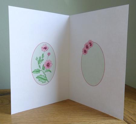 A Single Pink Flower Insert by Johanna Lambert