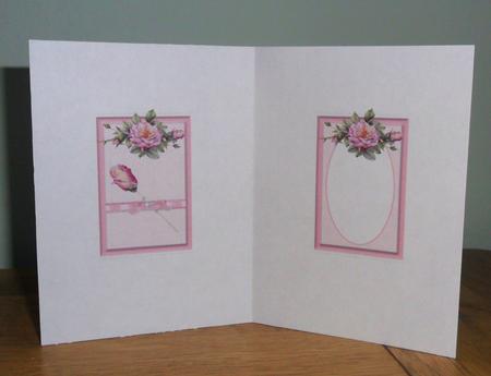 The Rose in Pink Insert by Johanna Lambert