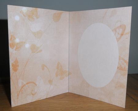 Peach Floral Butterfly Insert by Johanna Lambert