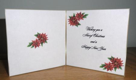 Red Poinsettia Insert by Johanna Lambert