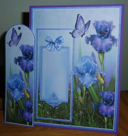 Iris Garden - Bookmark Pocket Card by Johanna Lambert