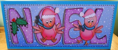 Large Dl Xmas Noel with Robins Quick Card with 3D Decoupage by Johanna Lambert