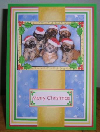 Lhasa Apso Puppy Christmas Card with Extra Layers by Johanna Lambert