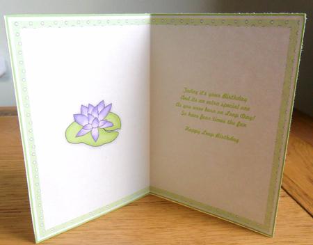 Leap Year Birthday Frog - Boy Insert by Johanna Lambert