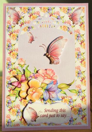 All Occasion Card Front Two by Johanna Lambert