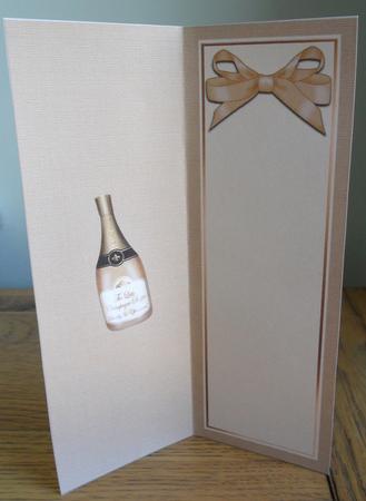Champagne Large Dl Insert by Johanna Lambert