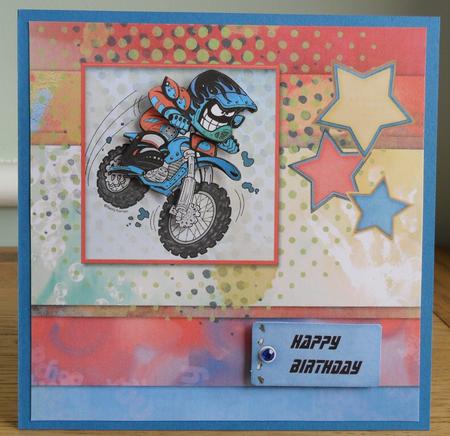 Dirt Bike 8x8inch Step by Step by Johanna Lambert